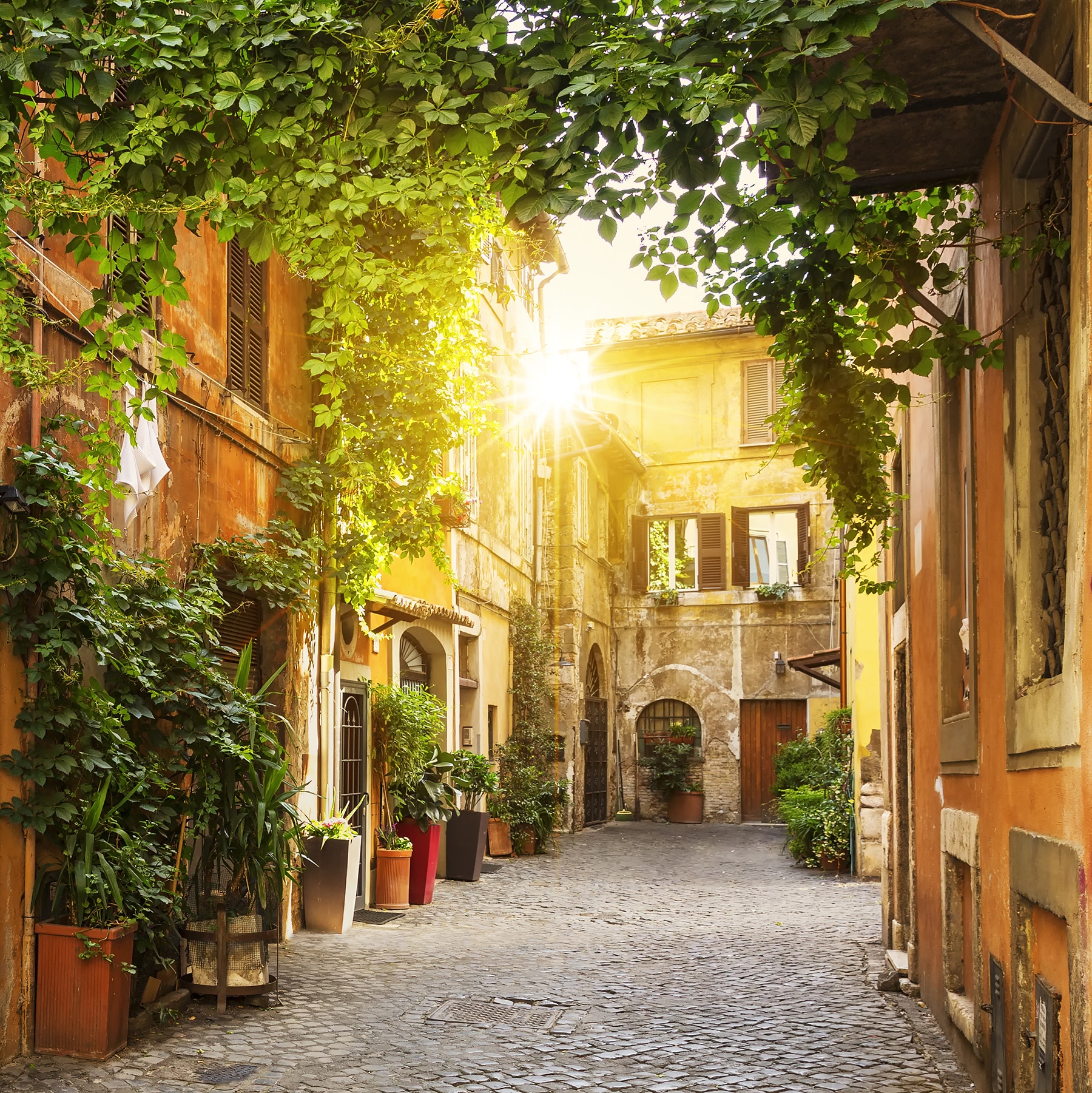 view-of-old-street-in-trastevere-in-rome-metro-continuing-education