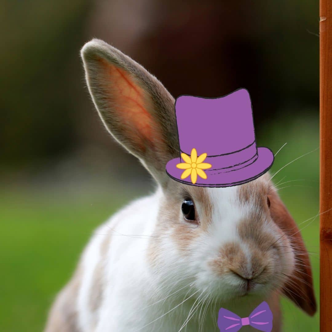 Easterbunnywithtophat Metro Continuing Education